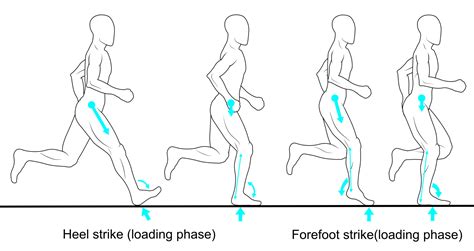 トレッドミル 効果：なぜ私たちは走り続けるのか？