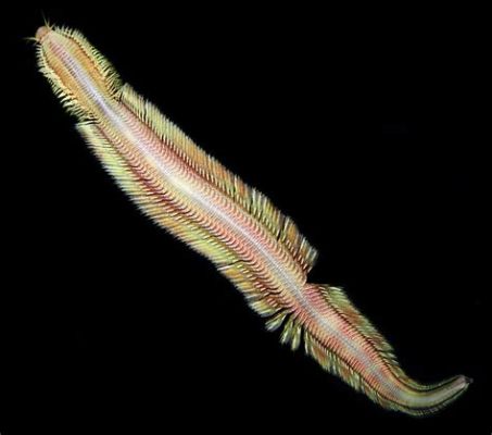 Ubiquitously Lurking Underwater Worms: A Deep Dive into the Fascinating World of Urogonimus Macrostomus!